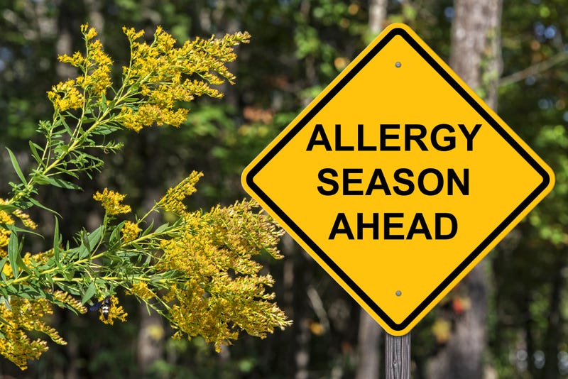 allergies