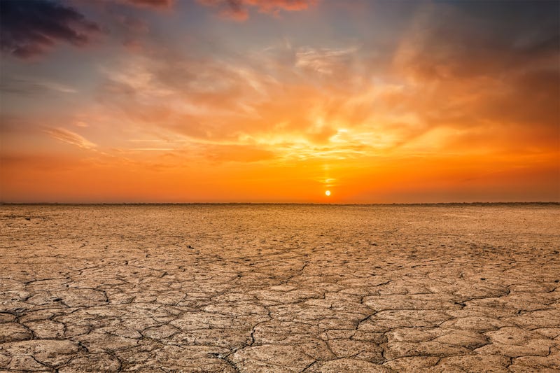 sunshine over parched, cracked soil