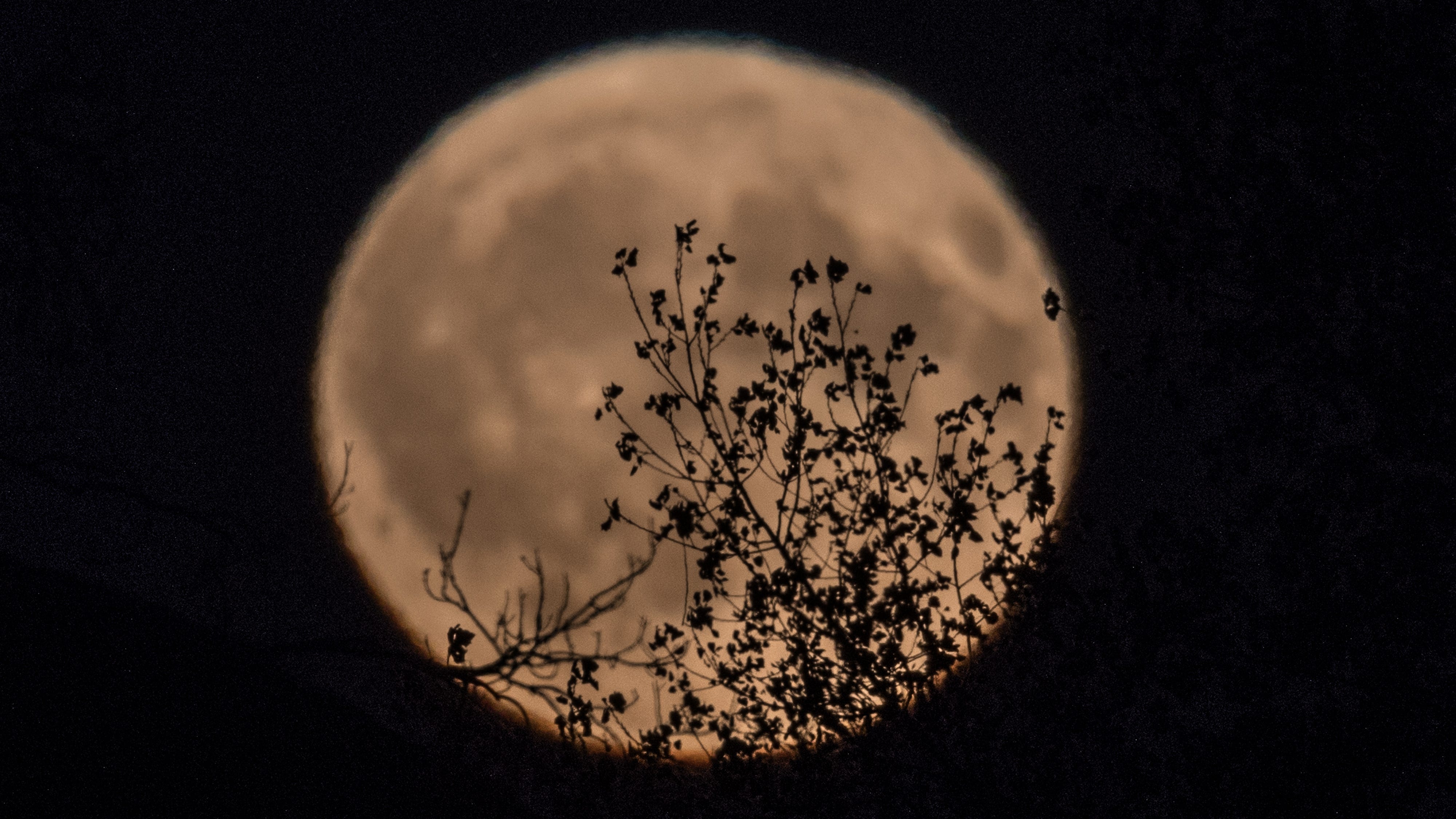 How to see the Harvest Moon this weekend