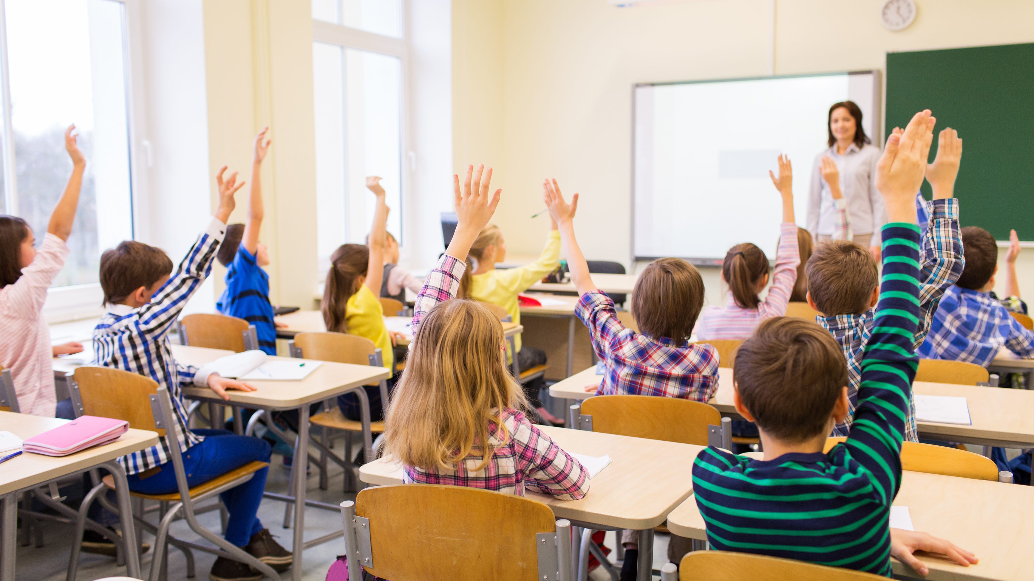 Fourth grade teacher bans gender pronouns in classroom