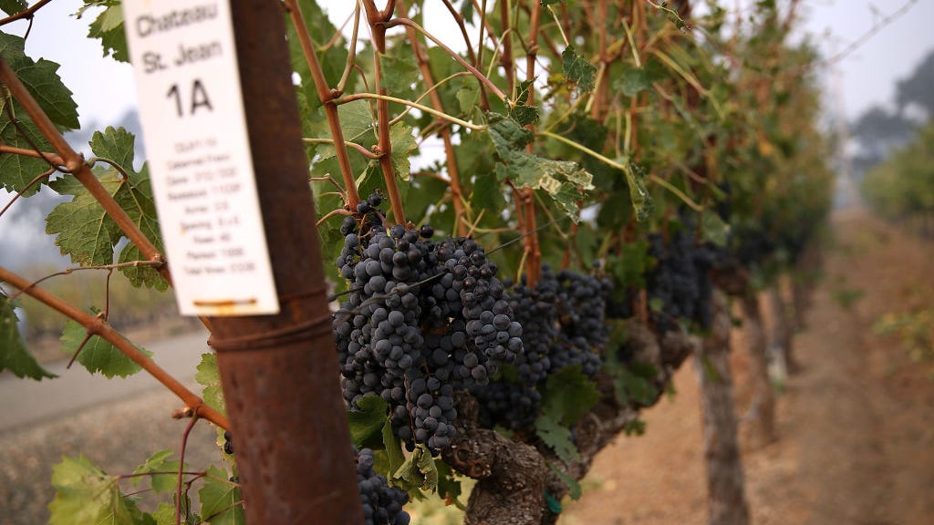California lawmaker pushing for research funding into wildfire damage on wine grapes