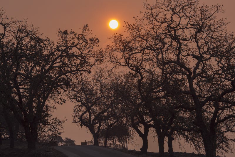 The sun shines behind a smoky sky and scorched trees at the family-owned winery, Signorello Estate, on Napa's Silverado Trail, which was destroyed by the Atlas Fire, on October 11, 2017 near Napa, California.