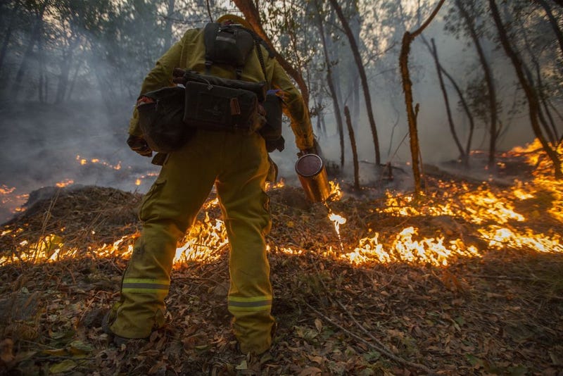A firefighter uses a drip torch to set a backfire to protect houses in Adobe Canyon during the Nuns Fire on October 15, 2017 near Santa Rosa, California.