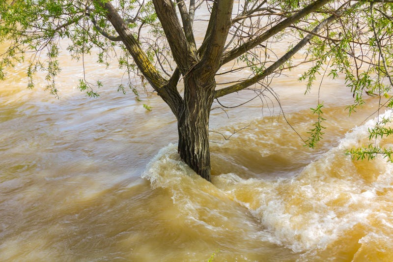 With water high and running fast, here are some precautions to take from the DNR.