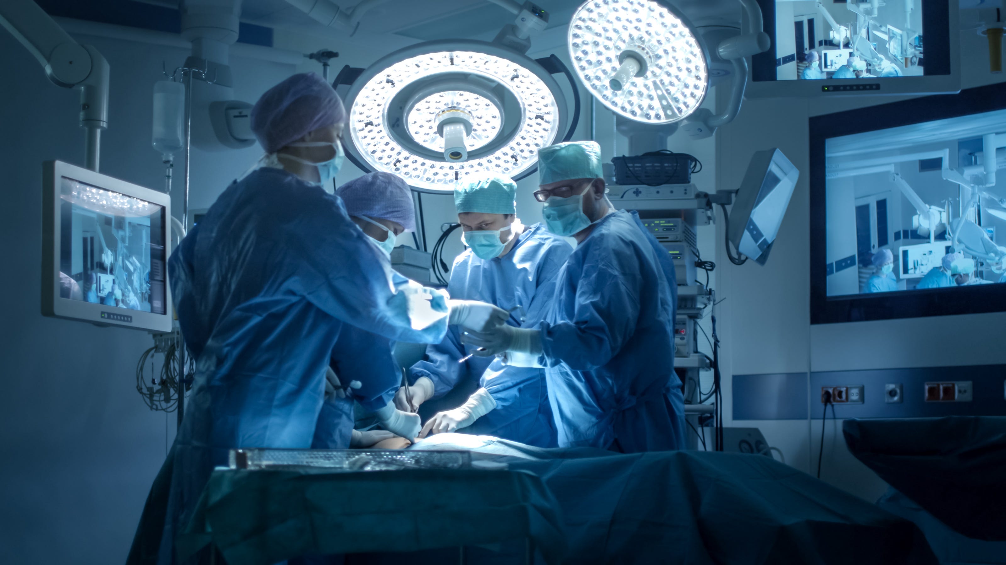 Scientists attach pig kidney to a human, giving new hope for transplants