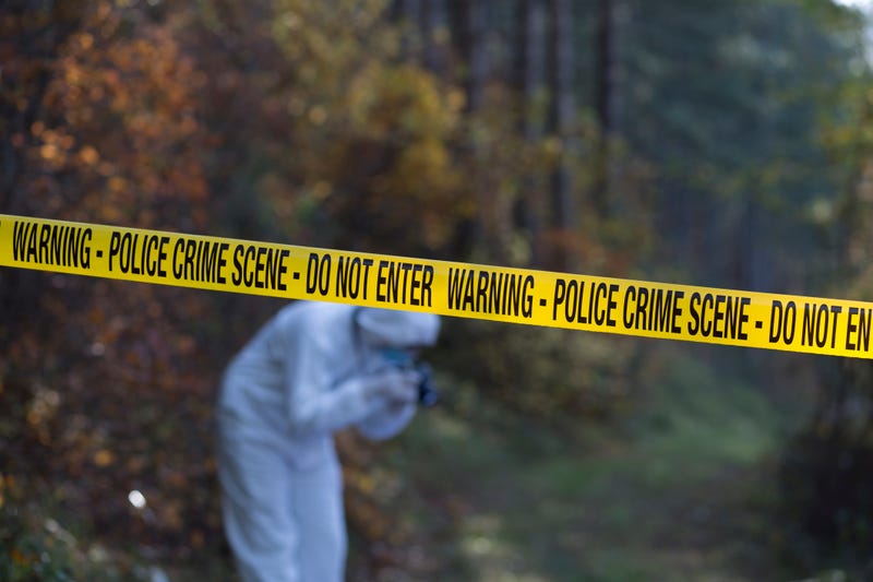 A crime scene in the woods. 