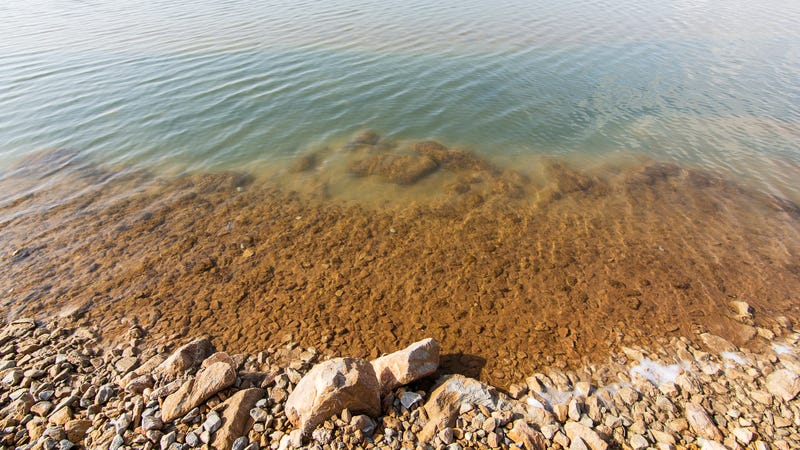 Lake