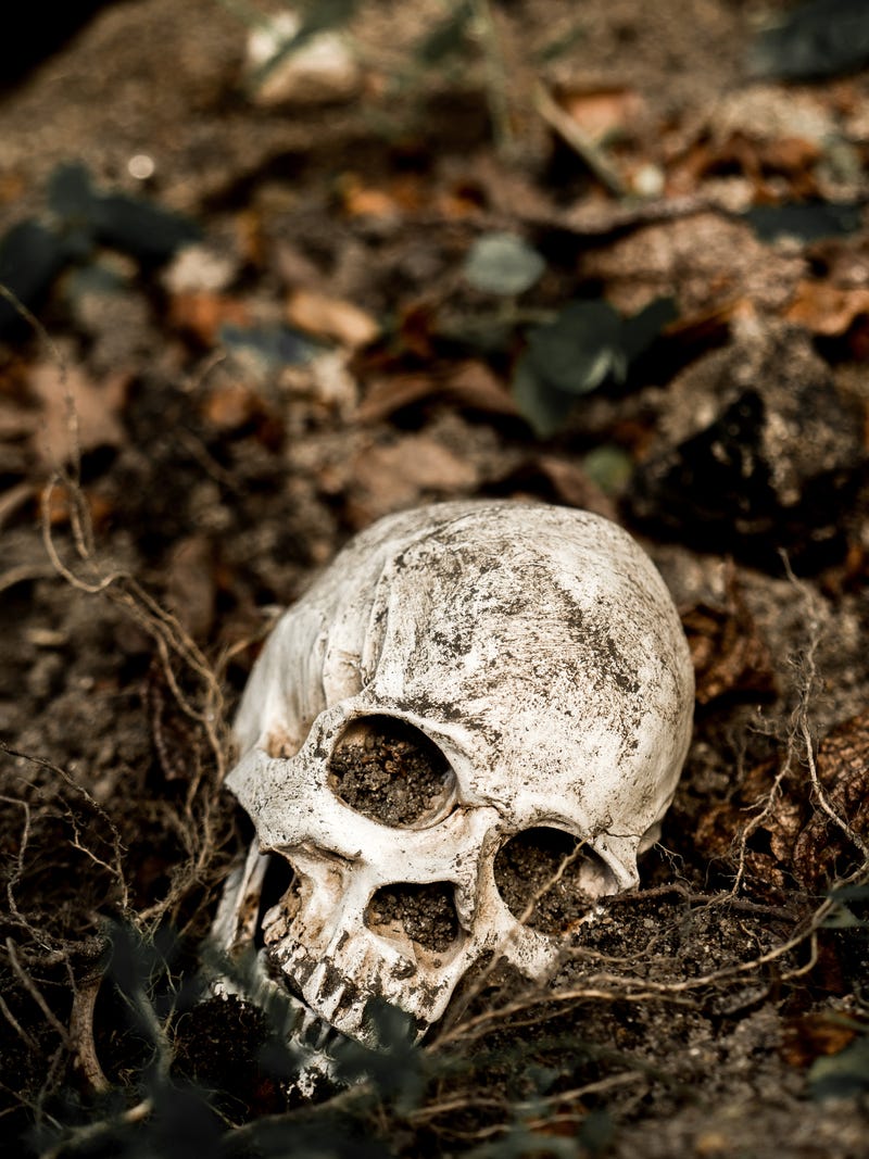 Skeletal remains
