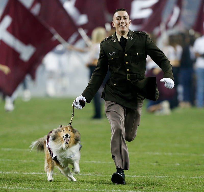 Texas A&M’s cherished mascot, Reveille X - the “First Lady of Aggieland” - underwent surgery Wednesday to remove her right eye following a glaucoma diagnosis, university President Gen. Mark Welsh III announced.
