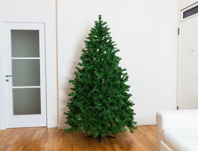 Bare Christmas tree in a living room