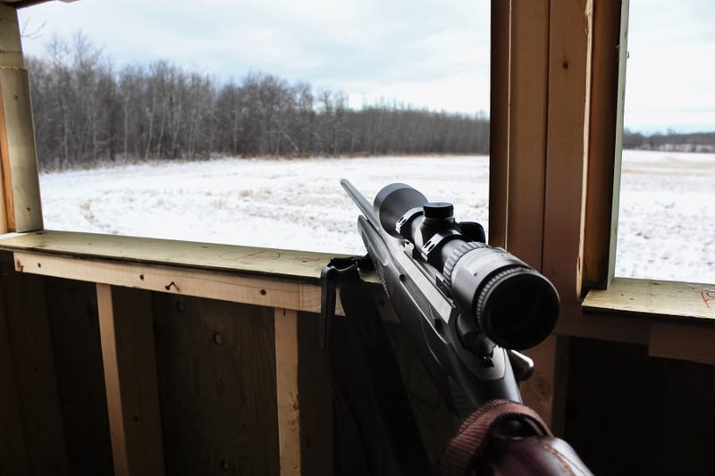 Waiting for deer to come out hunting.