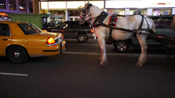 WATCH: Wild video shows horses running free through streets of NYC