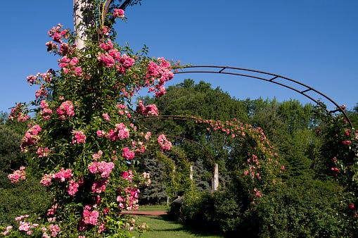 Elizabeth Park