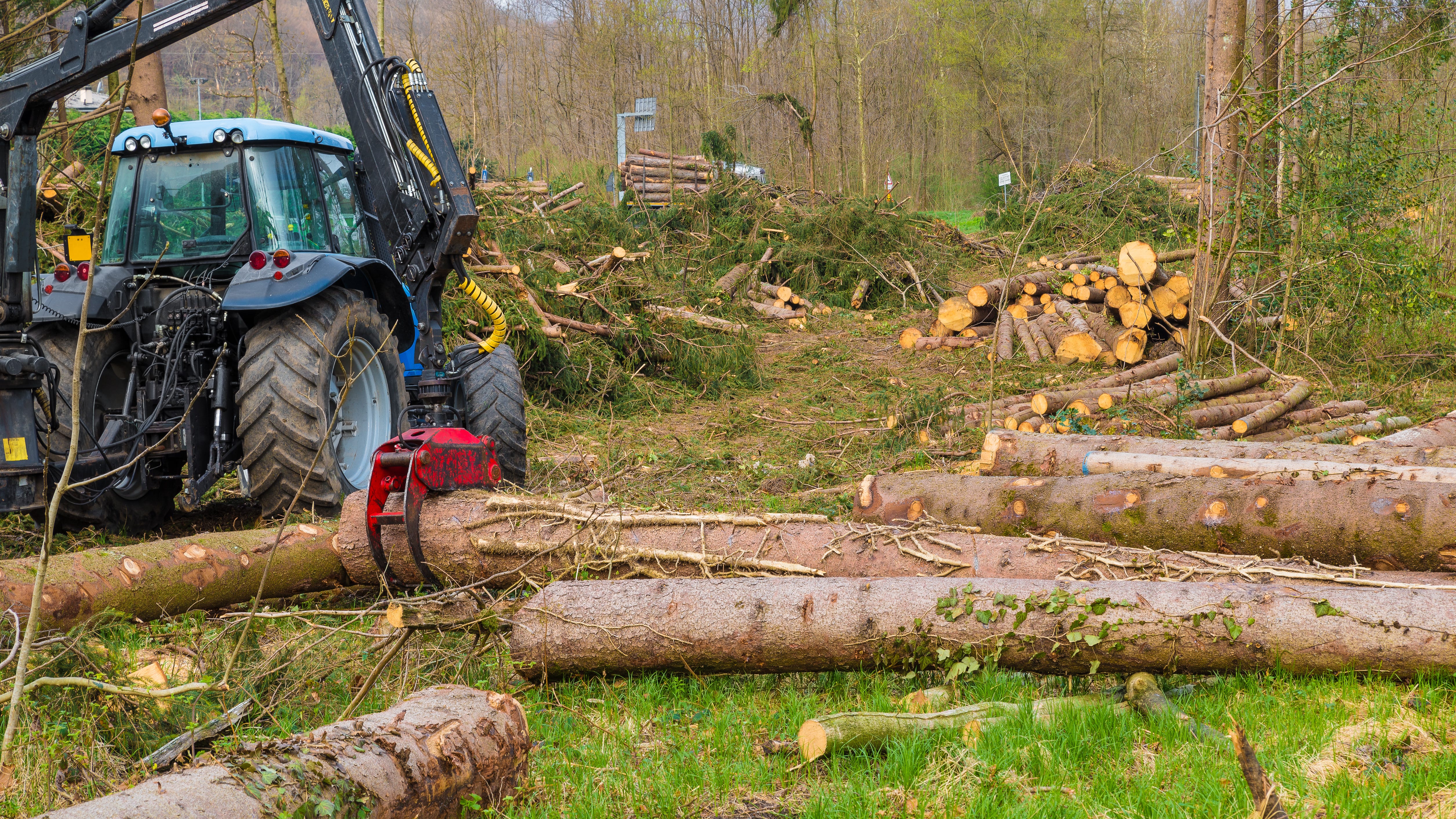 69-year-old man dies in wood cutting accident in Michigan's Thumb