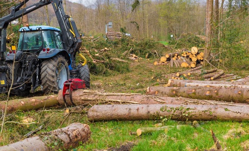 Man dies in accidental wood cutting incident in Michigan's thumb