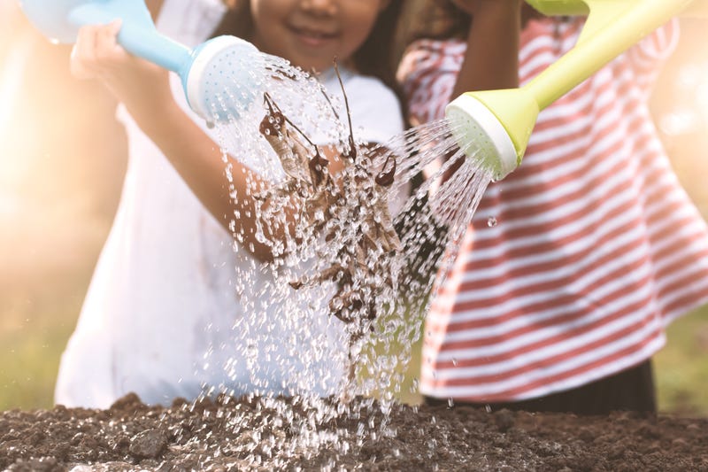 Two children little girl watering dry tree with watering pot together 