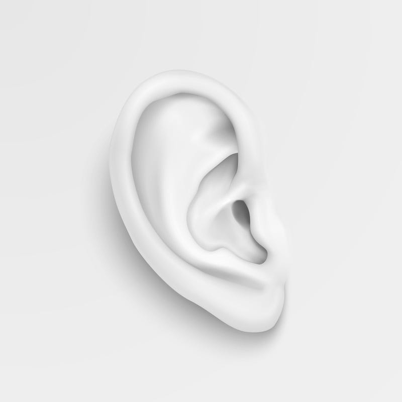 Ear