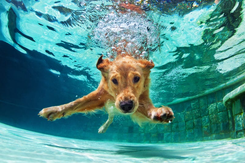 Getty Images
