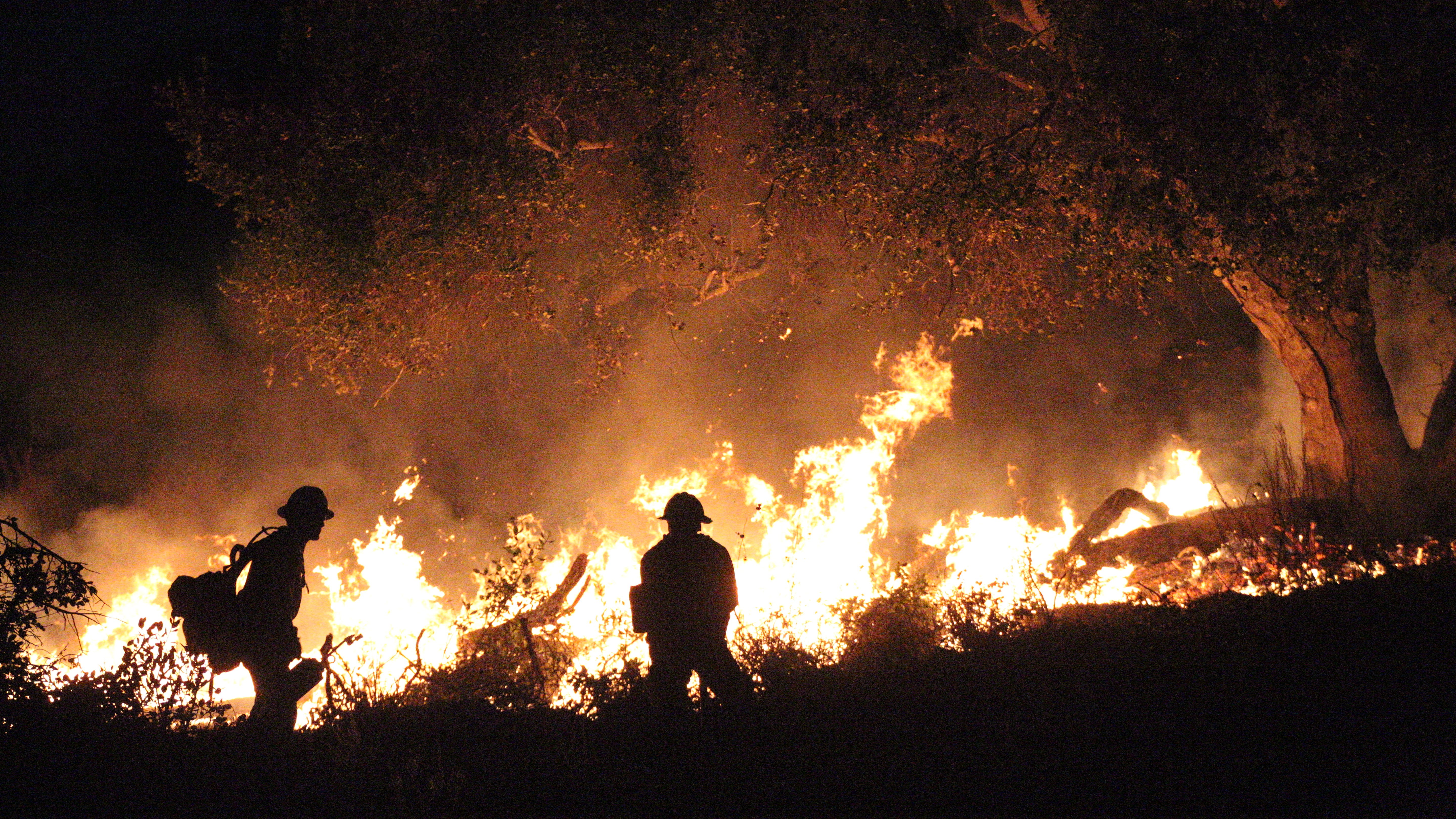 2 Riverside County wildfires force evacuations, cause of fires unknown