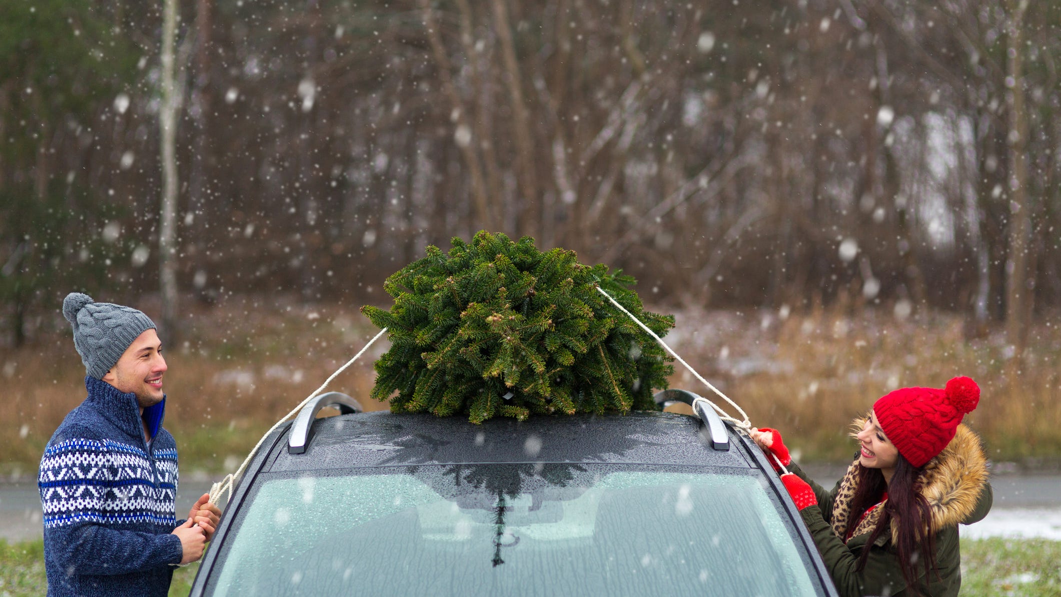 How to make sure your new Christmas tree doesn’t fly off your car