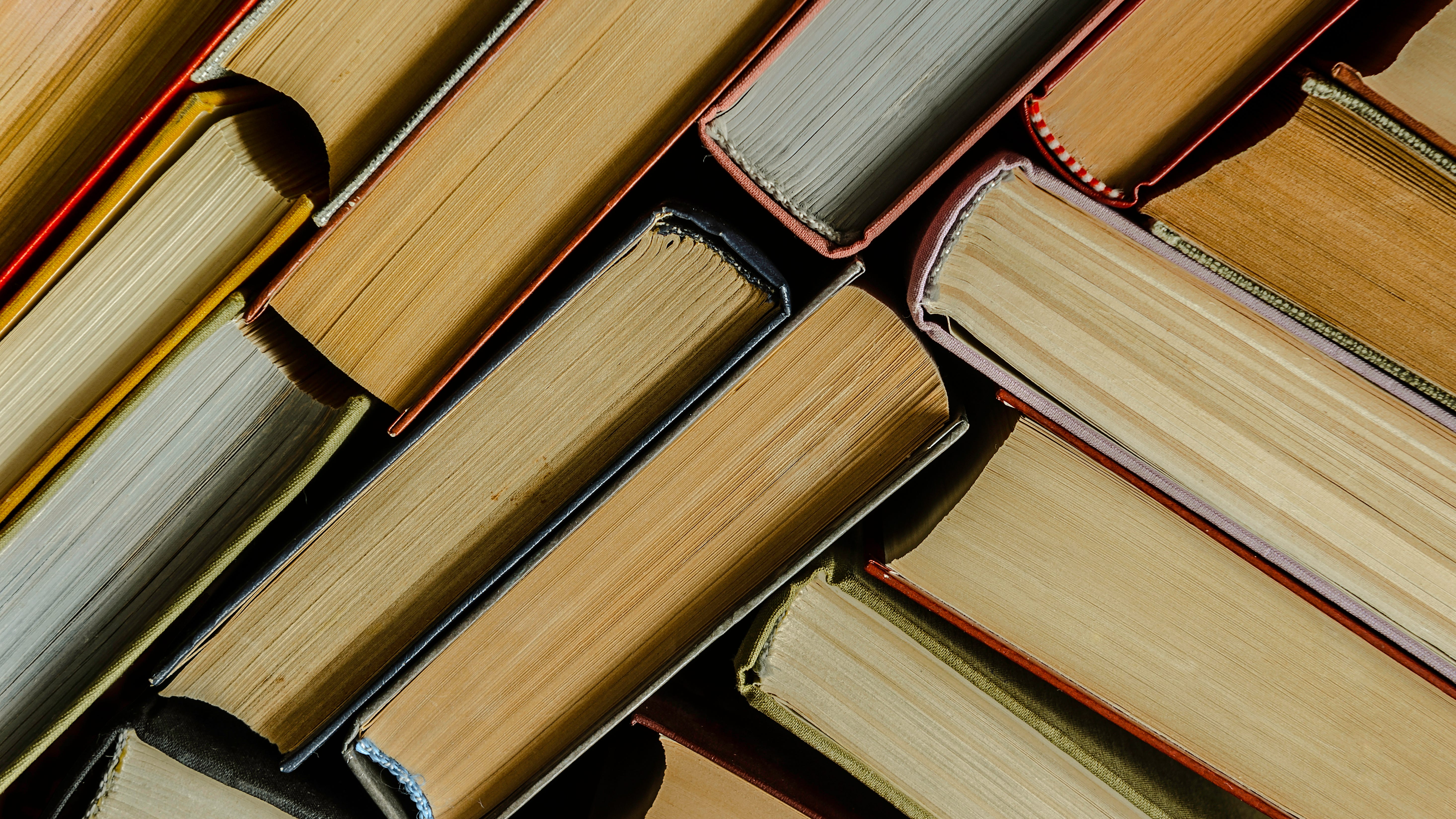 Lake View High School principal to investigate why hundreds of books were thrown out