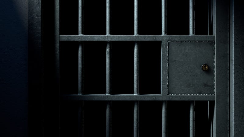 Prison cell door
