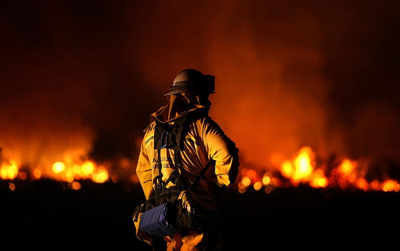 A Los Angeles County fire fighter monitors hot spots as he fights the Station Fire August 30, 2009 in Acton, California.