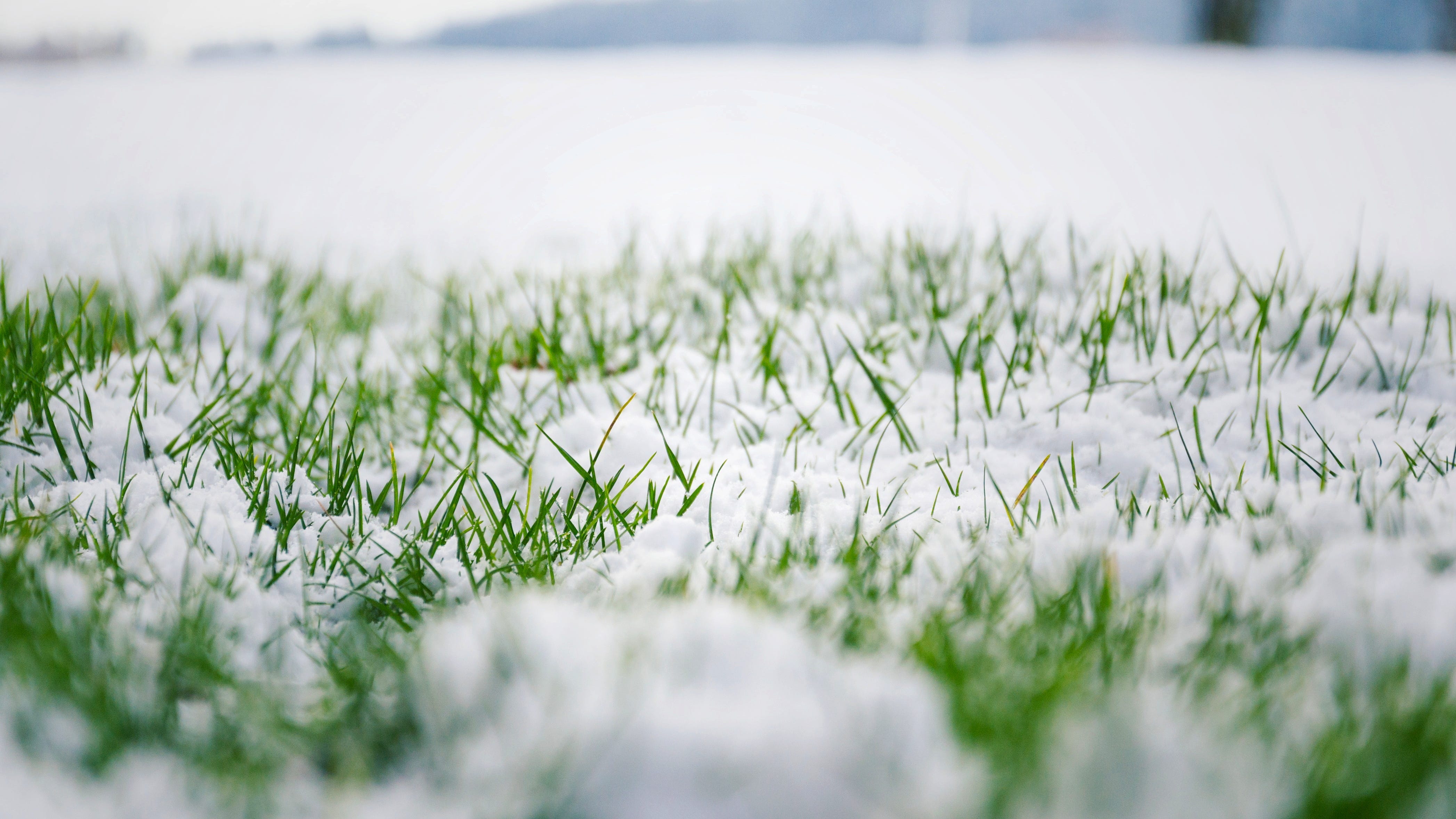 Chilly Easter Sunday could lead into some snow across Metro Detroit on Monday