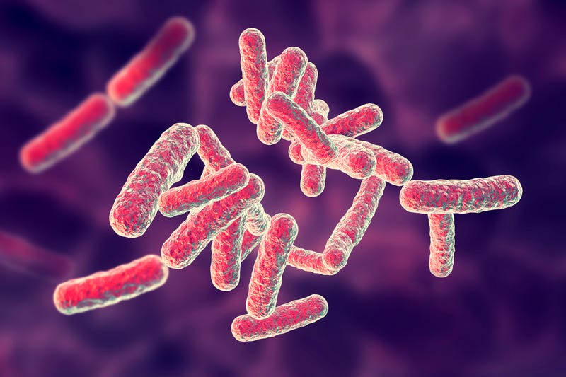 Bacteria molecules