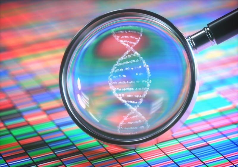 DNA Test