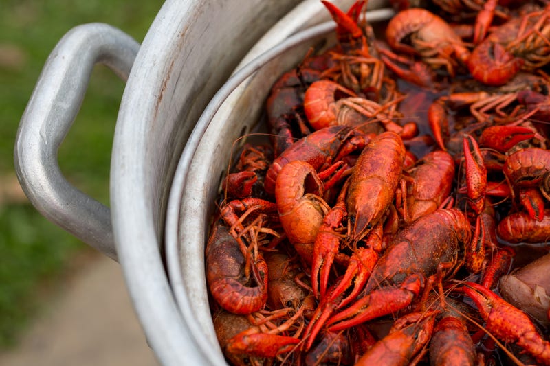 Crawfish