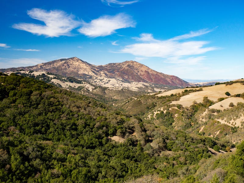 A 19-year-old man was rescued after he fell 30-60 feet off Sentinel Rock on Mount Diablo on Monday afternoon. 