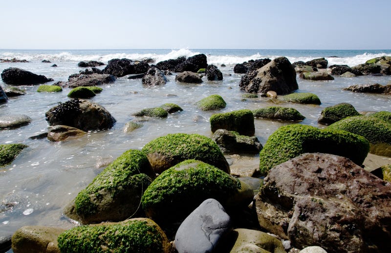 malibu