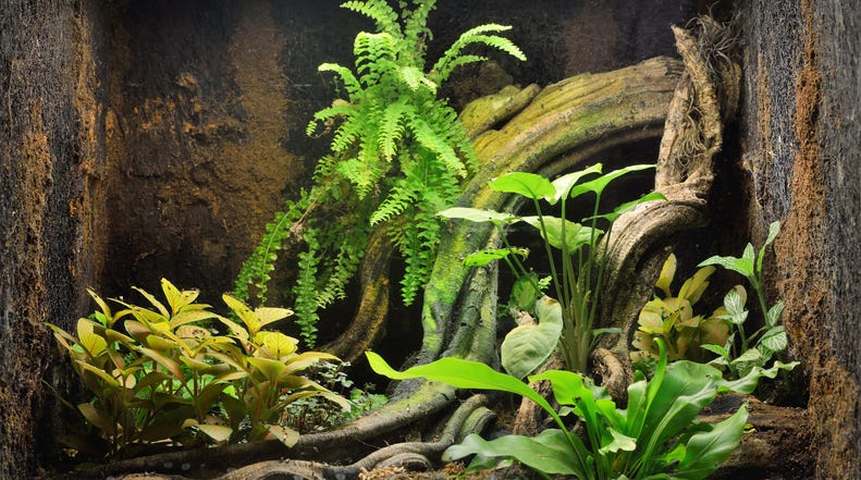 zoo exhibit