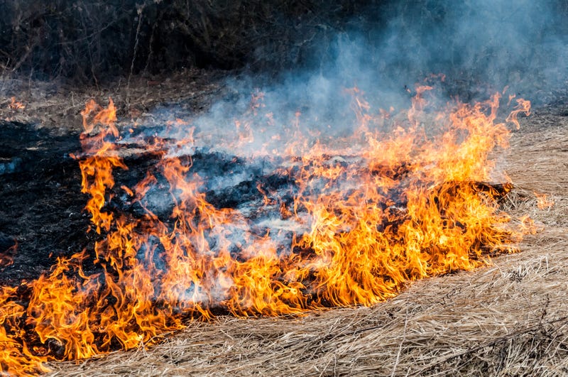 Grass Fire