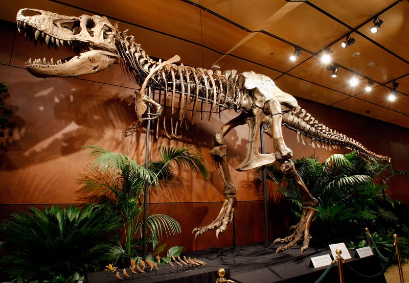 Dinosaur