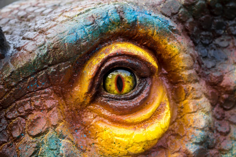 Close-up on a dinosaur model
