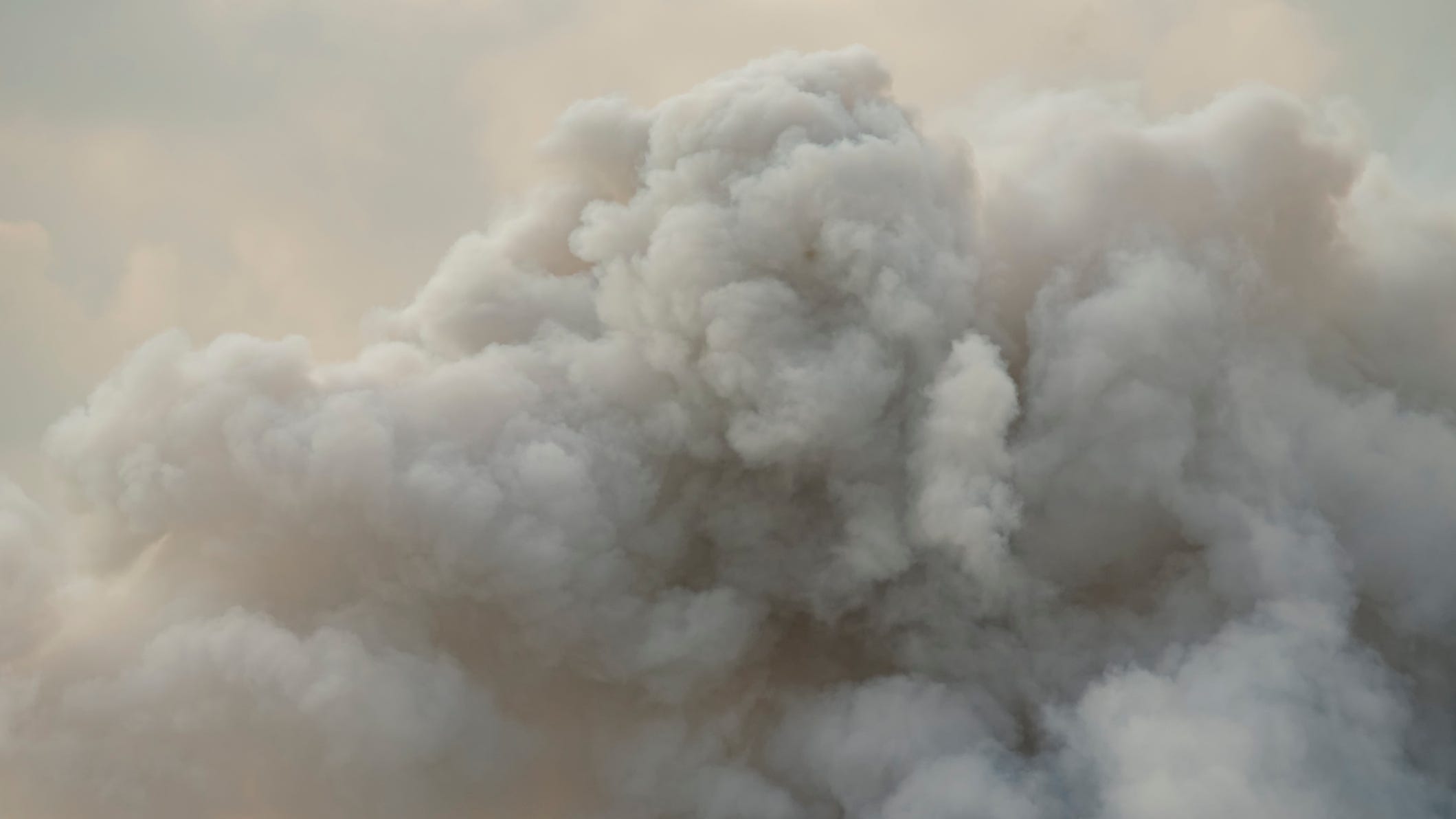 Brush fire blackens nearly 50 acres in Castaic