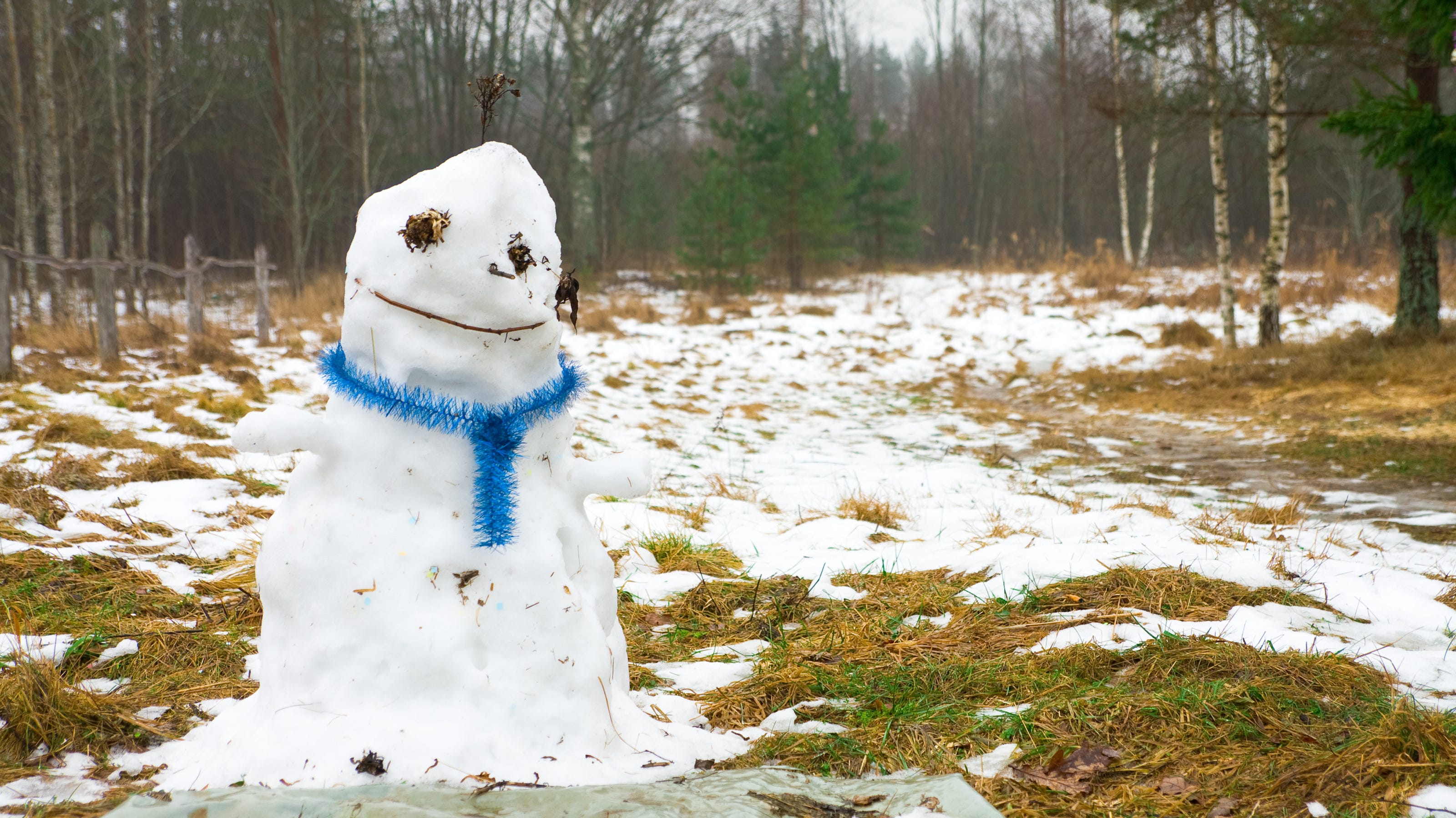 Deep freeze will end next week; ‘Above normal’ temperatures expected in St. Louis area