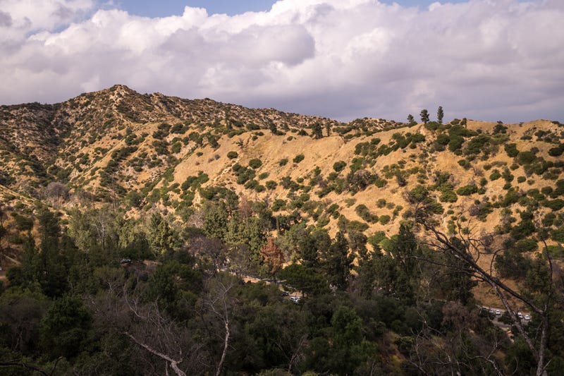 The Hollywood Hills.