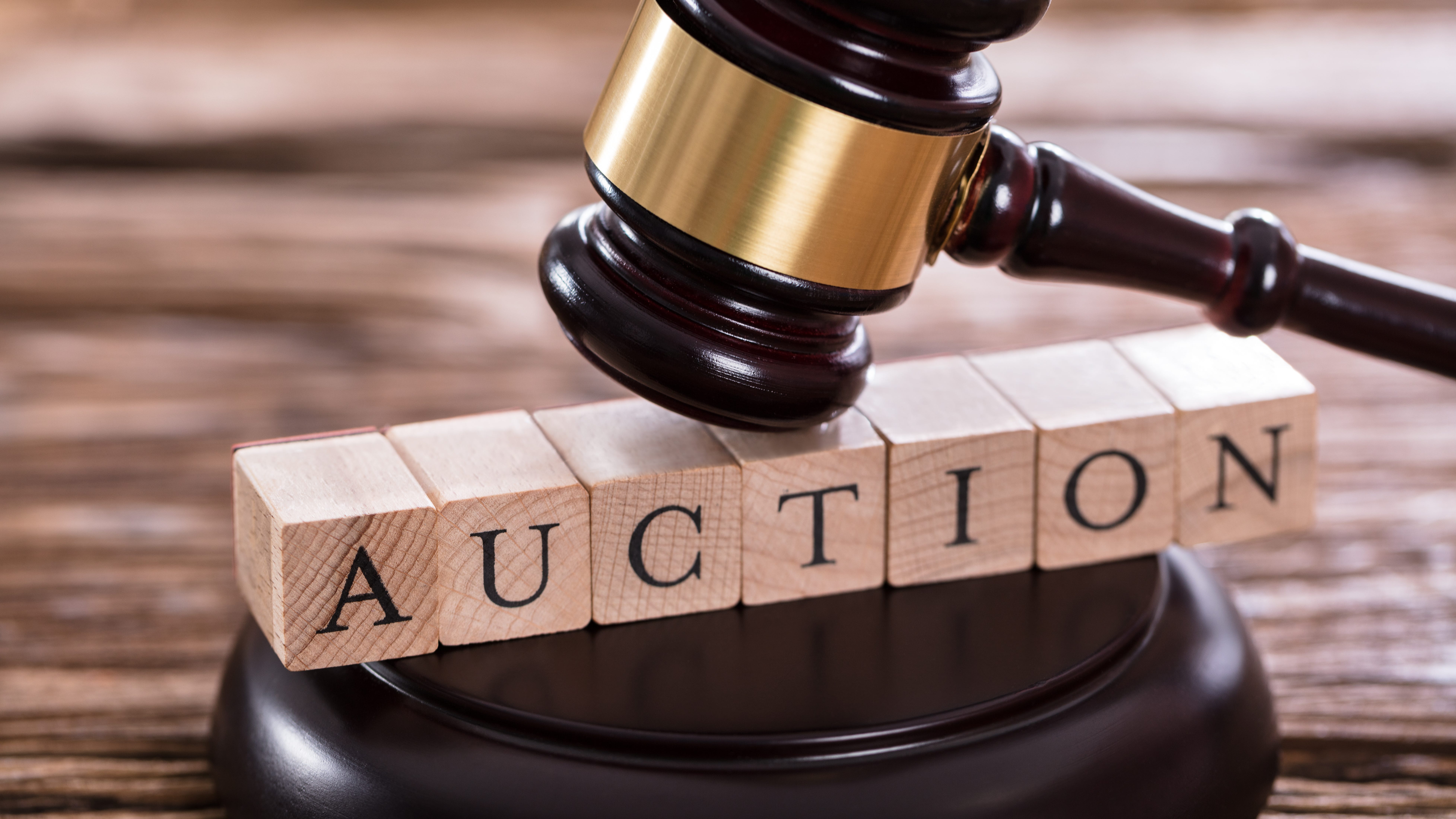  Treasurer's office to continue tradition of annual auction at state fair
