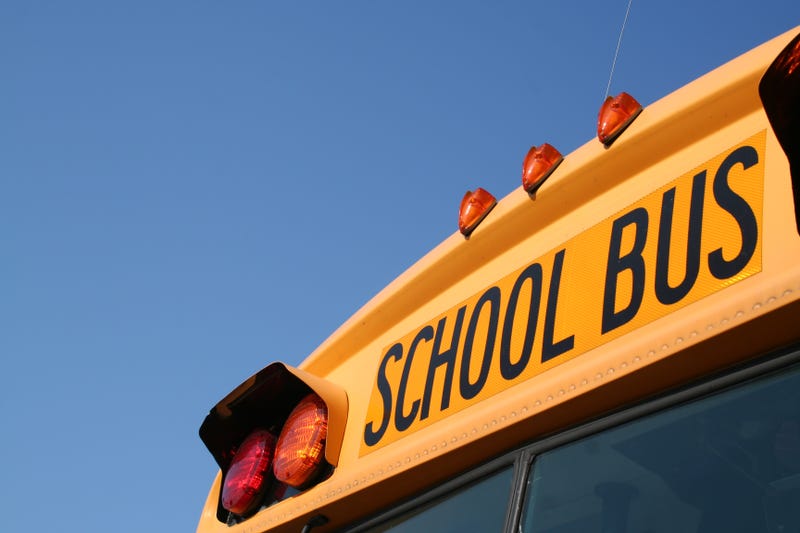Bus Crash