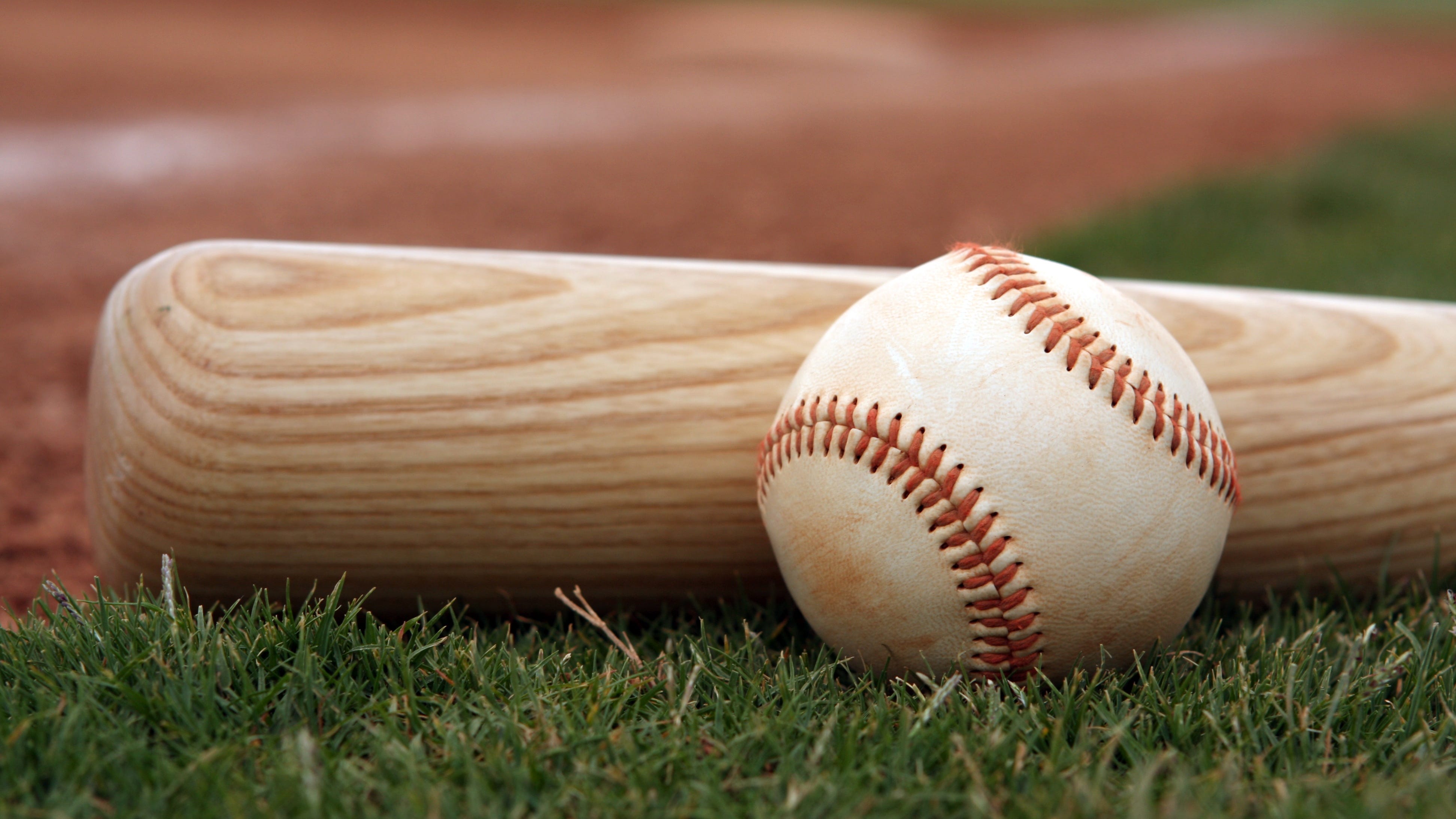 Celebrities and athletes pick up bats to raise money for vets