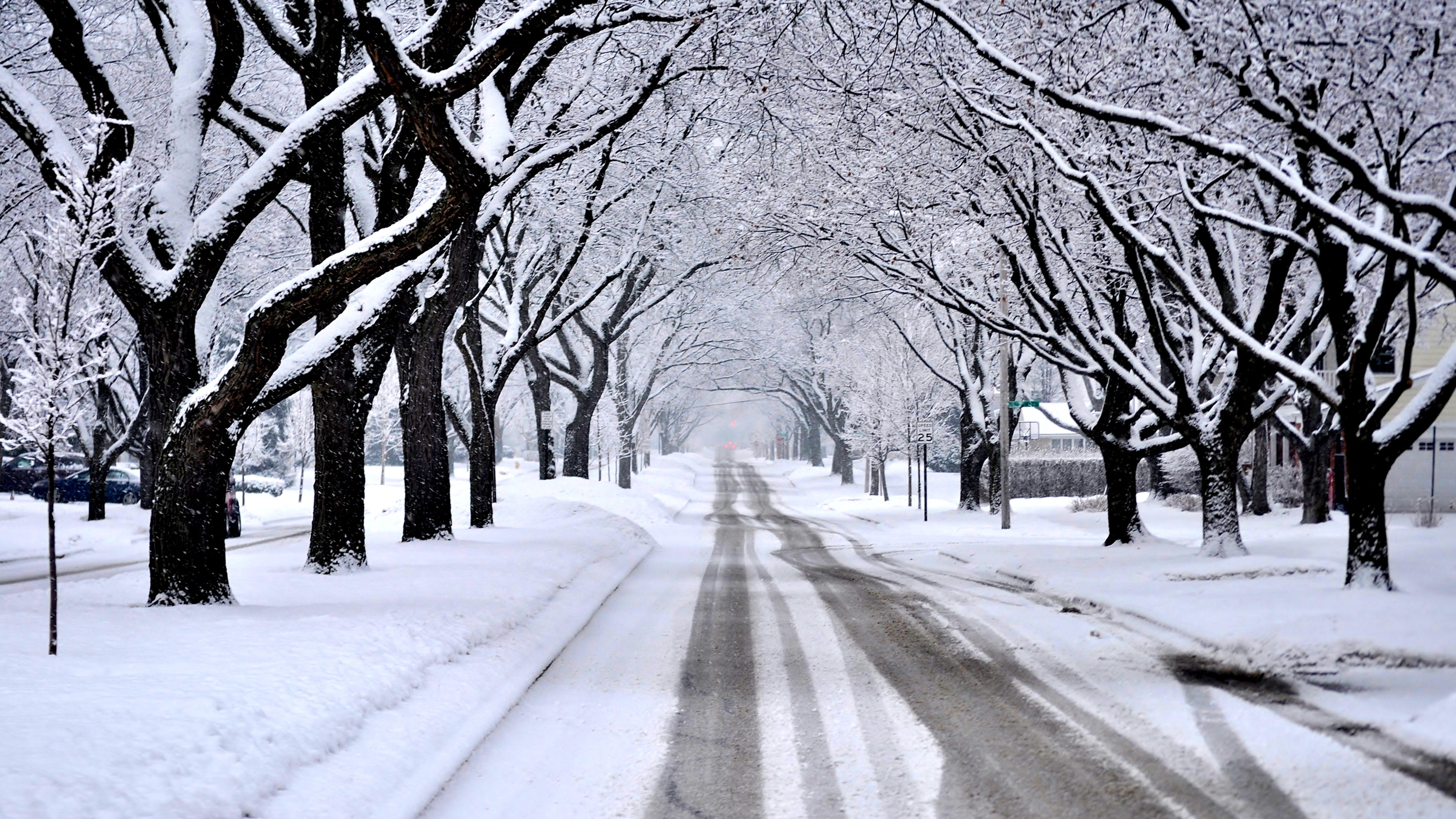 Record-breaking snow falls in northern Michigan overnight [PHOTOS]