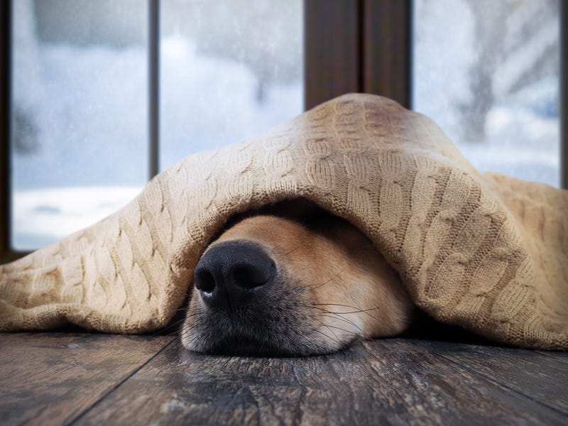 Winter will come knocking with a blast of artic air over the weekend after Michiganders were teased with a taste of spring weather earlier this week.
