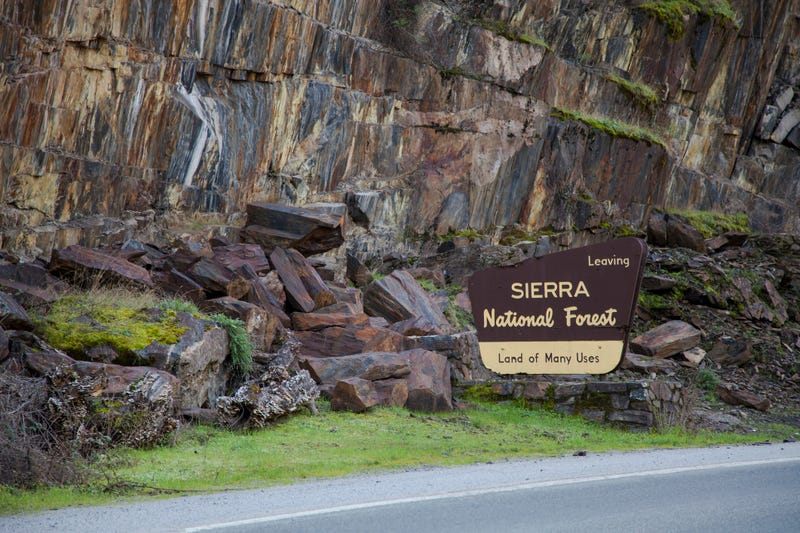 The forests’ closure will also mean a forced closure for most of the businesses that operate within them and, by extension, a huge drop in customers for businesses open near those forests. But officials say it simply isn't worth the risk.