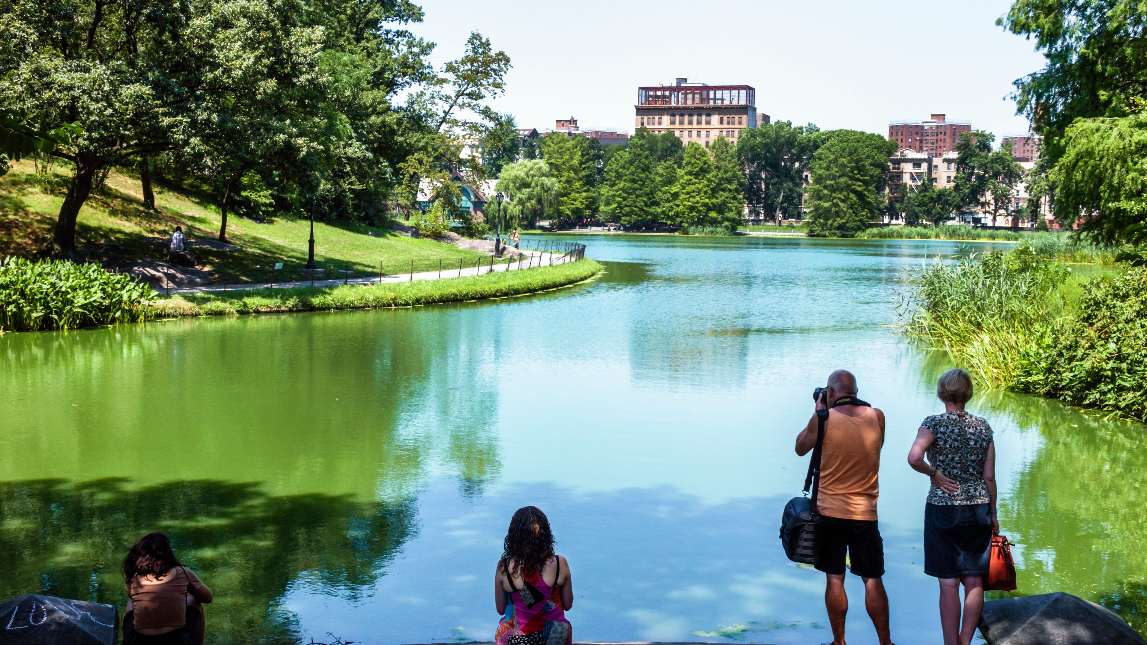 Man, 82, woman, 44, pushed in Central Park pond while trying to stop robbery
