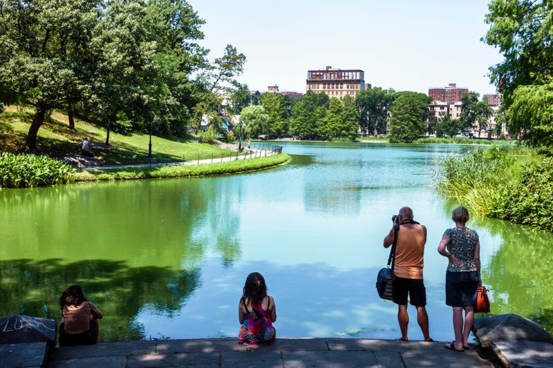 Harlem Meer in Central Park where good samaritans were pushed in the water trying to stop a robbery
