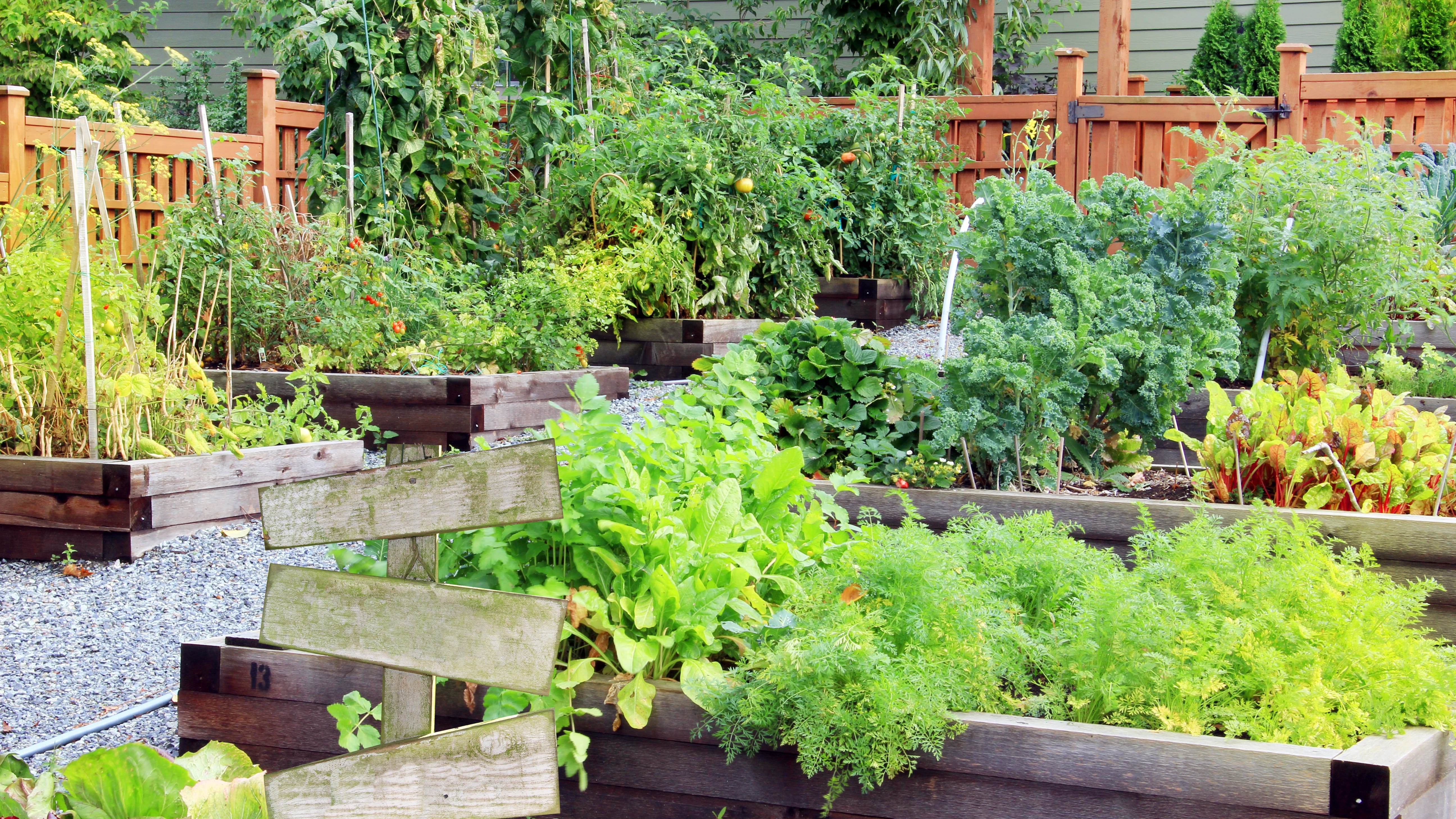 Rowan teams with community gardens to create inclusive spaces for people with disabilities