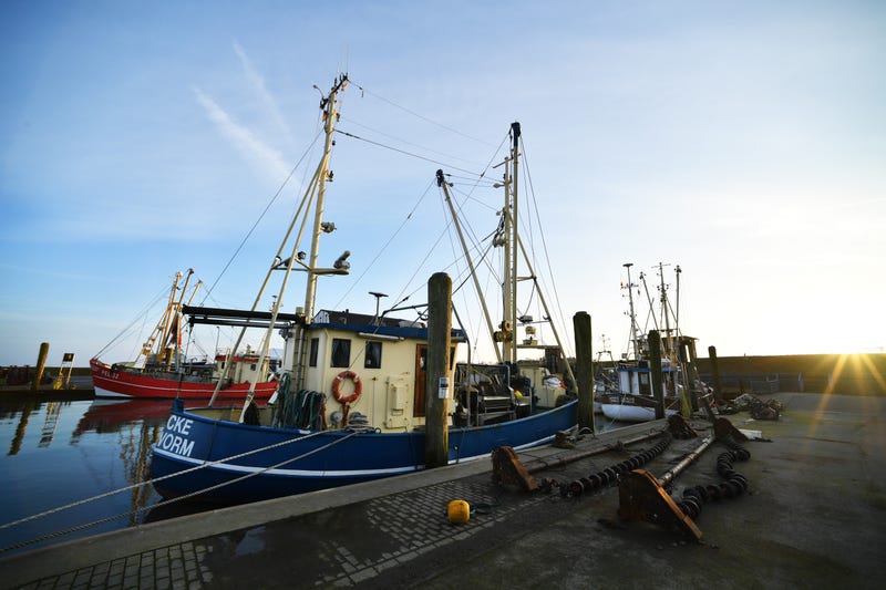 shrimp boat on bayou